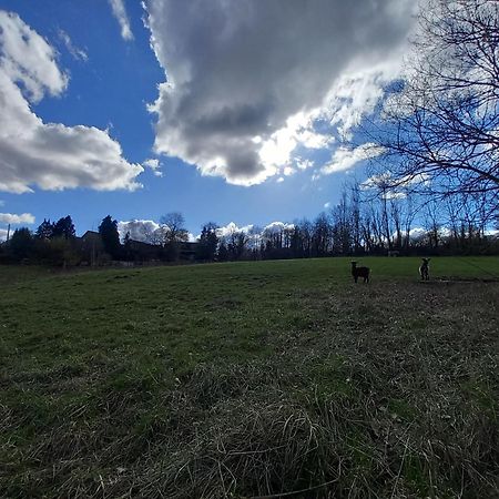 Les hauts de Meez Dinant Exterior foto