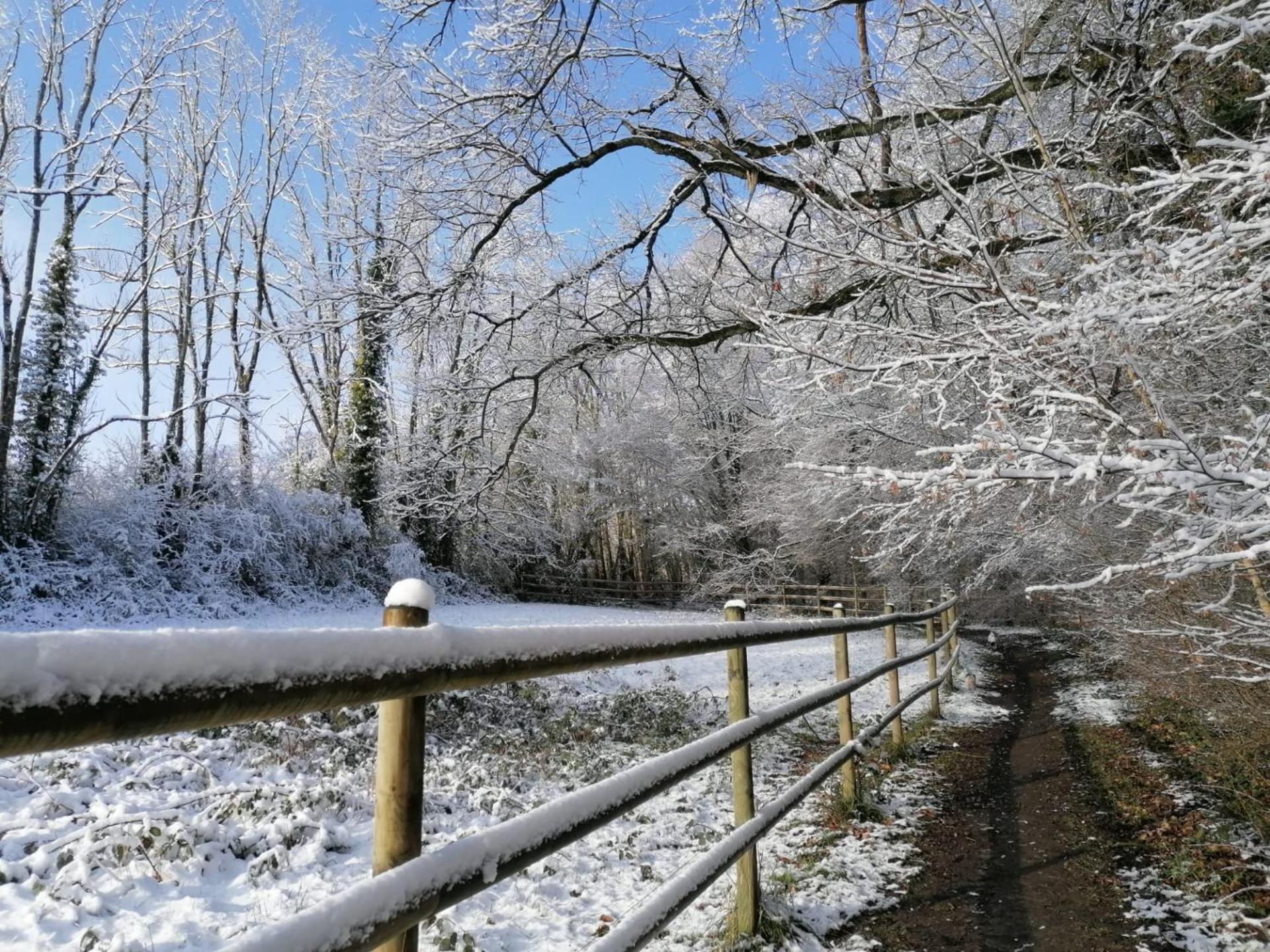 Les hauts de Meez Dinant Exterior foto