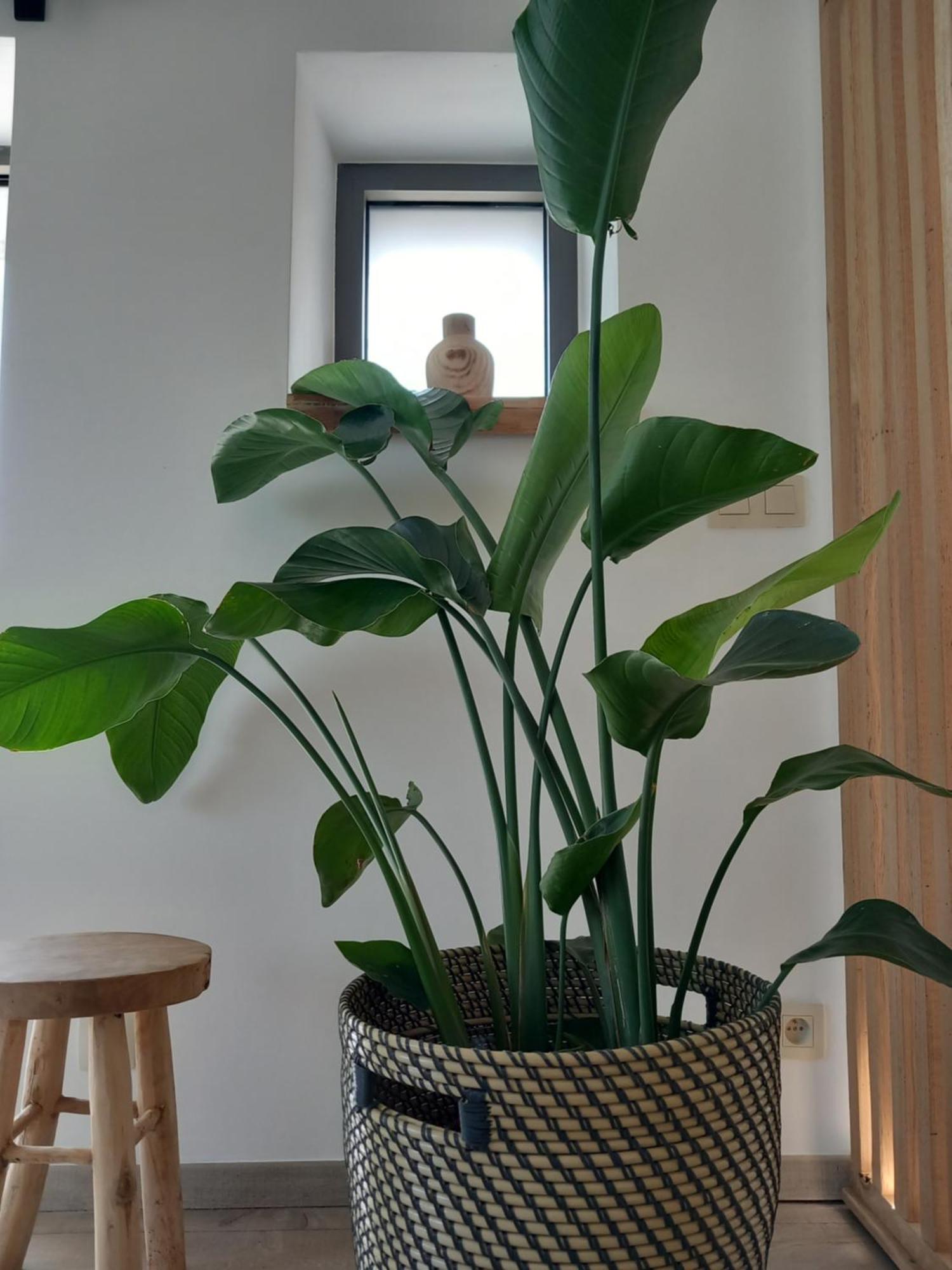 Les hauts de Meez Dinant Zimmer foto